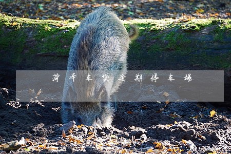 菏泽车贷逾期停车场 菏泽车贷逾期停车场