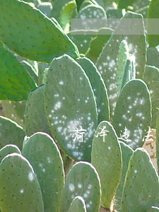 菏泽违法处理室 菏泽违法处理室