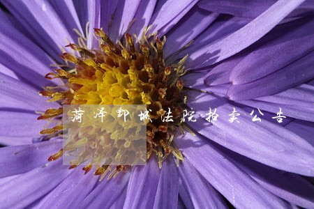 菏泽鄄城法院拍卖公告 菏泽鄄城法院拍卖公告