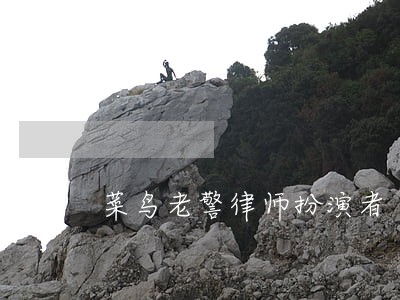 菜鸟老警律师扮演者 菜鸟老警律师扮演者