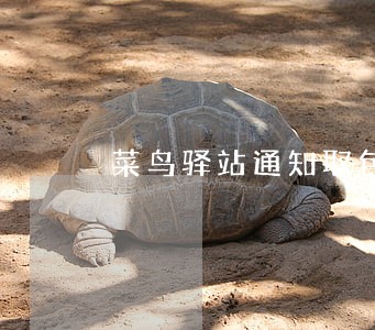 菜鸟驿站通知取包裹逾期未取 菜鸟驿站通知取包裹逾期未取