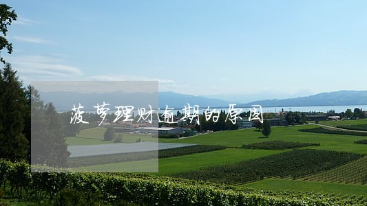 菠萝理财逾期的原因 菠萝理财逾期的原因