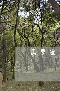 菠萝蜜贷款逾期会爆通讯录 菠萝蜜贷款逾期会爆通讯录