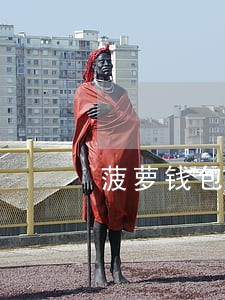 菠萝钱包逾期怎么办 菠萝钱包逾期怎么办