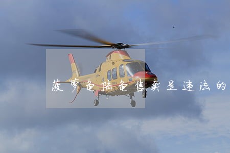 菠萝龟陆龟售卖是违法的吗 菠萝龟陆龟售卖是违法的吗