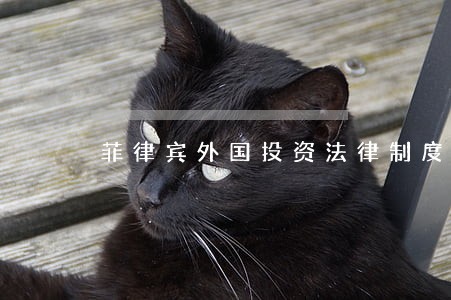 菲律宾外国投资法律制度简介 菲律宾外国投资法律制度简介
