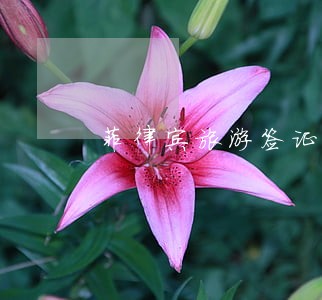 菲律宾旅游签证逾期半年