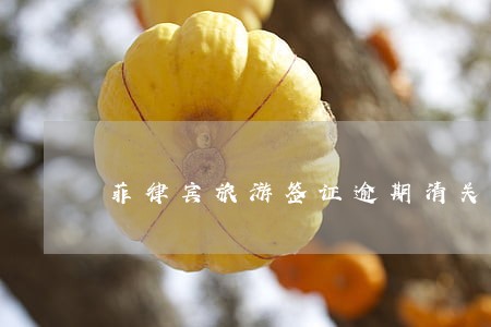 菲律宾旅游签证逾期清关 菲律宾旅游签证逾期清关