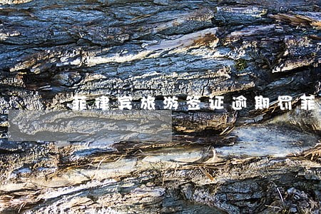 菲律宾旅游签证逾期罚菲佣 菲律宾旅游签证逾期罚菲佣