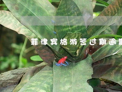 菲律宾旅游签过期逾期费用 菲律宾旅游签过期逾期费用