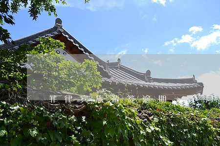 菲律宾旅游签逾期一个月 菲律宾旅游签逾期一个月
