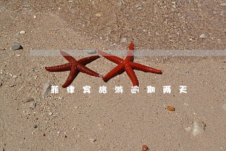 菲律宾旅游逾期两天 菲律宾旅游逾期两天