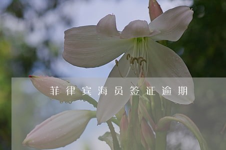菲律宾海员签证逾期 菲律宾海员签证逾期