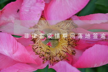 菲律宾疫情期间落地签逾期怎么办 菲律宾疫情期间落地签逾期怎么办