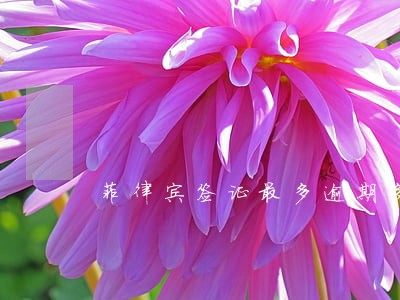 菲律宾签证最多逾期多久 菲律宾签证最多逾期多久