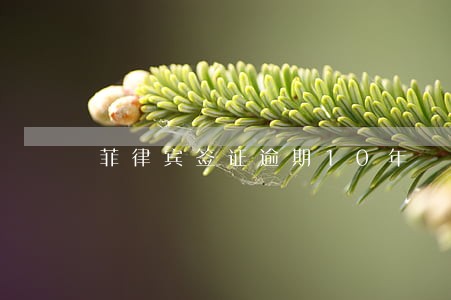 菲律宾签证逾期10年 菲律宾签证逾期10年