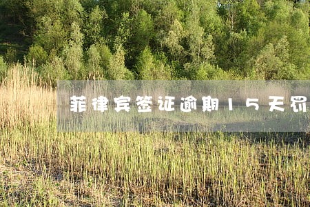 菲律宾签证逾期15天罚多少 菲律宾签证逾期15天罚多少