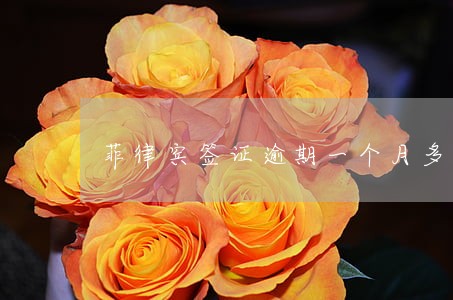 菲律宾签证逾期一个月多少罚款 菲律宾签证逾期一个月多少罚款