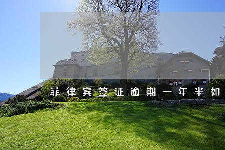 菲律宾签证逾期一年半如何回国
