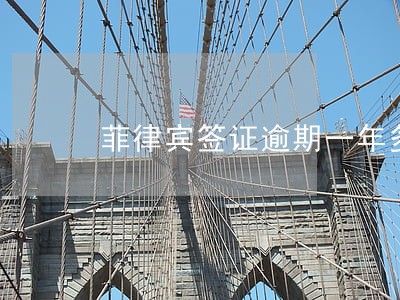 菲律宾签证逾期一年多会怎么样