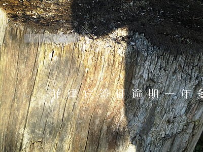 菲律宾签证逾期一年多怎么办 菲律宾签证逾期一年多怎么办