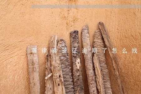 菲律宾签证逾期了怎么找谁 菲律宾签证逾期了怎么找谁