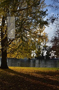 菲律宾签证逾期半年罚款多少 菲律宾签证逾期半年罚款多少