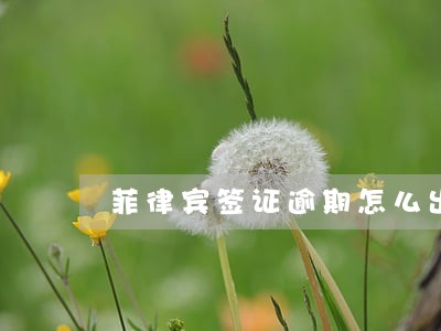 菲律宾签证逾期怎么出境入境 菲律宾签证逾期怎么出境入境