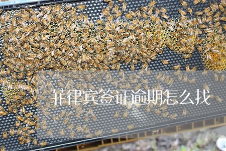 菲律宾签证逾期怎么找 菲律宾签证逾期怎么找