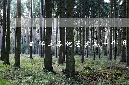 菲律宾落地签逾期一个月怎么处理 菲律宾落地签逾期一个月怎么处理
