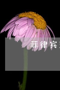 菲律宾落地签逾期只能办理遣返吗 菲律宾落地签逾期只能办理遣返吗
