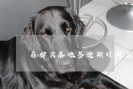 菲律宾落地签逾期时间怎么算 菲律宾落地签逾期时间怎么算