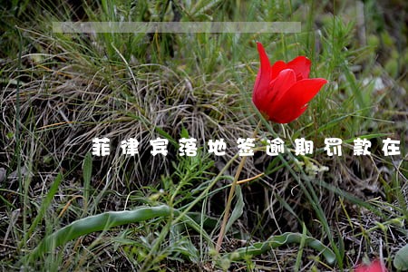菲律宾落地签逾期罚款在哪里交 菲律宾落地签逾期罚款在哪里交