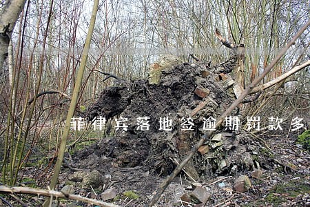 菲律宾落地签逾期罚款多少 菲律宾落地签逾期罚款多少