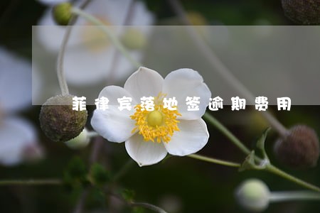 菲律宾落地签逾期费用 菲律宾落地签逾期费用
