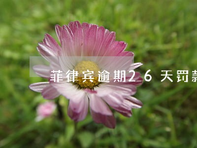 菲律宾逾期26天罚款多少 菲律宾逾期26天罚款多少