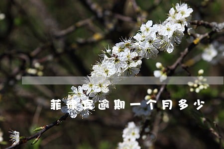 菲律宾逾期一个月多少 菲律宾逾期一个月多少