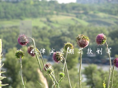 菲律宾逾期罚款划算 菲律宾逾期罚款划算