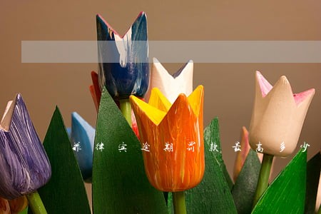 菲律宾逾期罚款最高多少 菲律宾逾期罚款最高多少