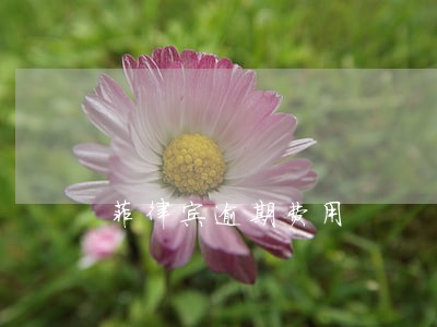 菲律宾逾期费用 菲律宾逾期费用