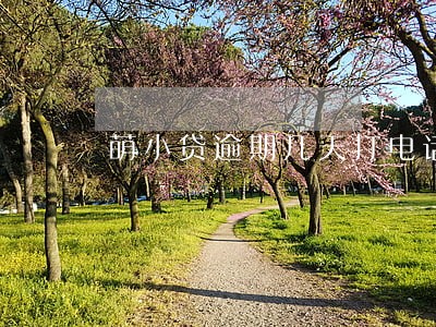 萌小贷逾期几天打电话 萌小贷逾期几天打电话