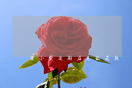 萌小贷逾期后怎么还款 萌小贷逾期后怎么还款