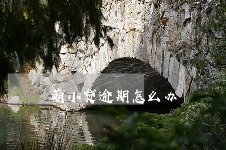 萌小贷逾期怎么办 萌小贷逾期怎么办