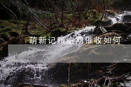 萌新记账逾期催收如何