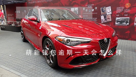 萌新钱包逾期一天会怎么样 萌新钱包逾期一天会怎么样