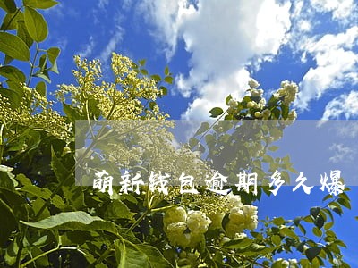 萌新钱包逾期多久爆