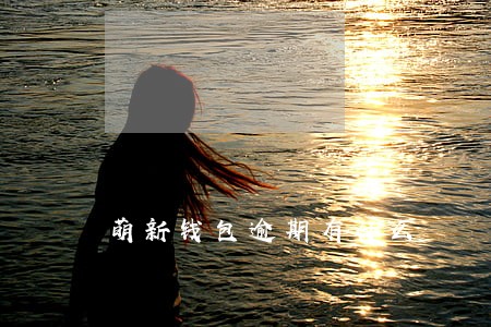 萌新钱包逾期有什么 萌新钱包逾期有什么