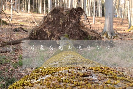 萌虎有逾期现金回收 萌虎有逾期现金回收