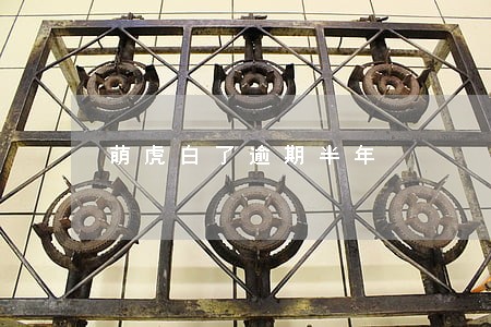 萌虎白了逾期半年 萌虎白了逾期半年