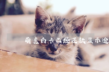 萌虎白卡已经还款显示逾期 萌虎白卡已经还款显示逾期